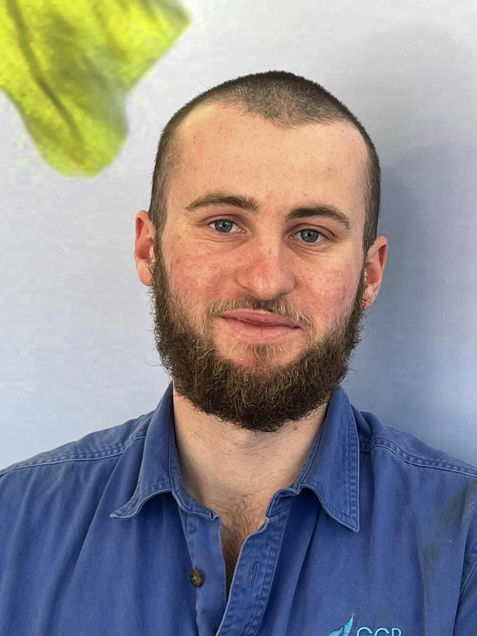 GCP plumber